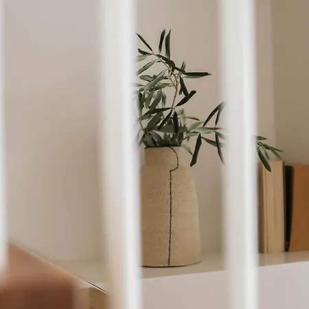 Olive Suites, Sidari アパート Kounavadhes